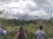 Arenal_volcano1