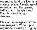 Argentina, land of silver, is